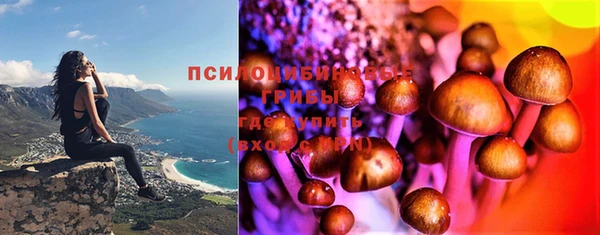 ешки Балахна
