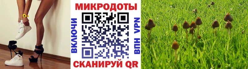 Галлюциногенные грибы Psilocybine cubensis Петушки